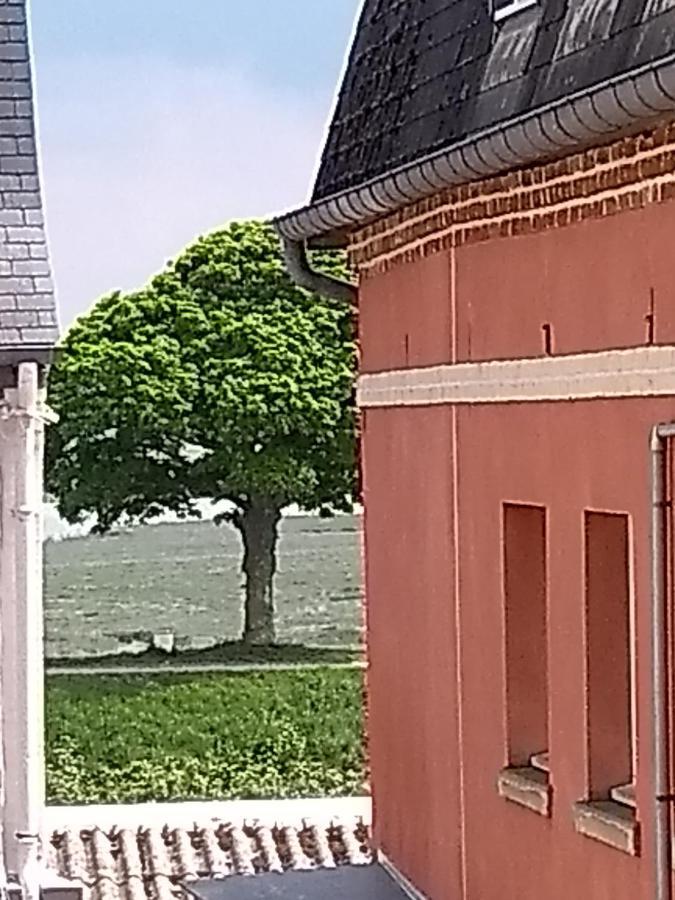 Au Petit Bonheur Apartment Saint-Valery-sur-Somme Bagian luar foto